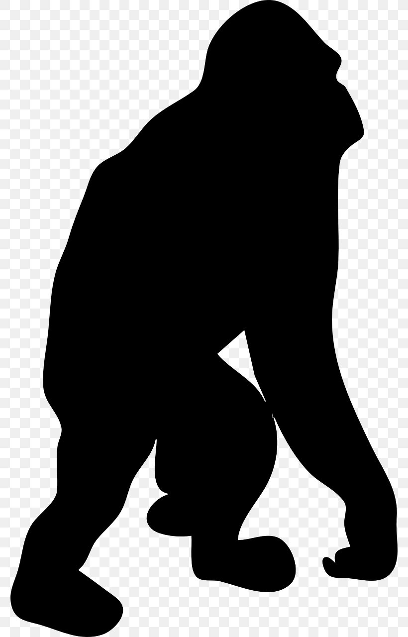 Ape Bonobo Drawing Clip Art, PNG, 778x1280px, Ape, Black, Black And White, Bonobo, Chimpanzee Download Free