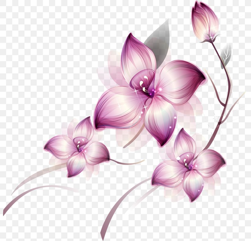 Flower Icon, PNG, 800x788px, Flower, Blossom, Bud, Color, Flora Download Free