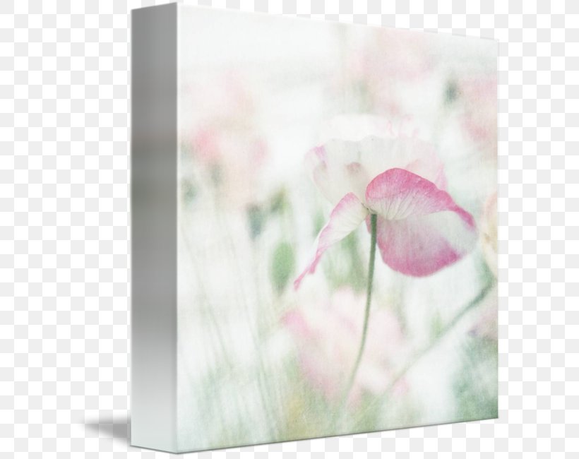 Petal Floral Design Pink M Flower, PNG, 606x650px, Petal, Floral Design, Flower, Flowering Plant, Pink Download Free