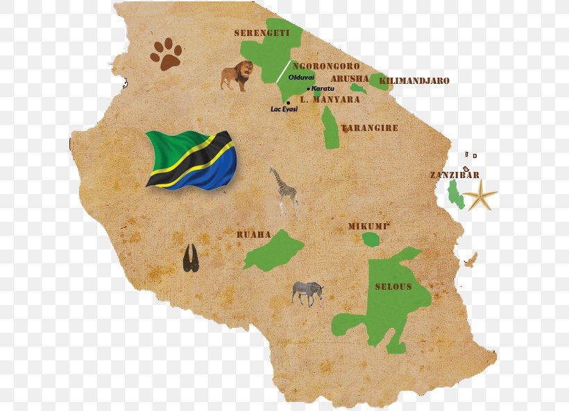 Serengeti Ngorongoro Conservation Area Arusha Selous Game Reserve Maasai Mara, PNG, 620x593px, Serengeti, Africa, Arusha, Hotel, Maasai Mara Download Free