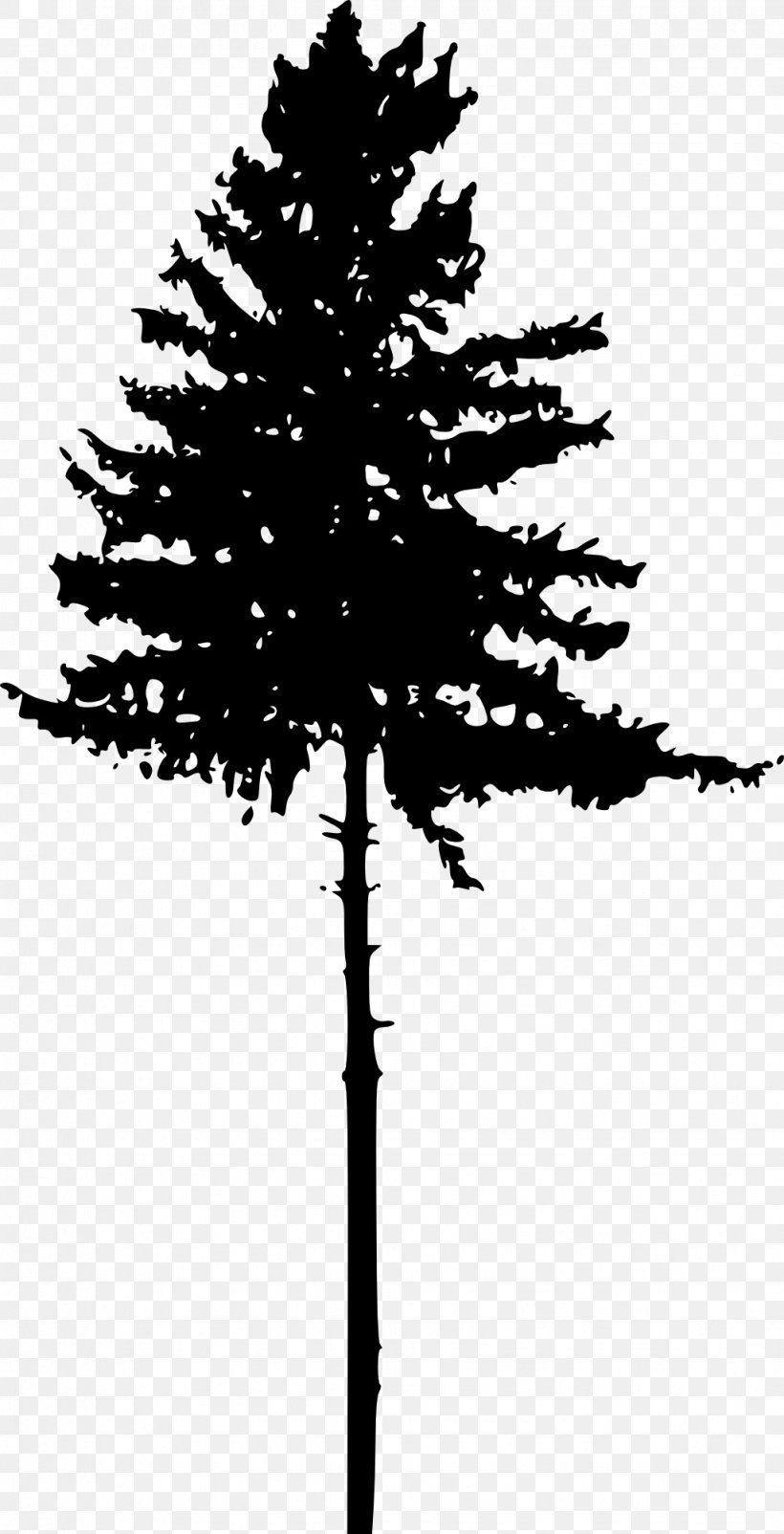 Tree Pine Silhouette Clip Art, PNG, 1022x2000px, Tree, Black And White, Branch, Christmas Tree, Conifer Download Free