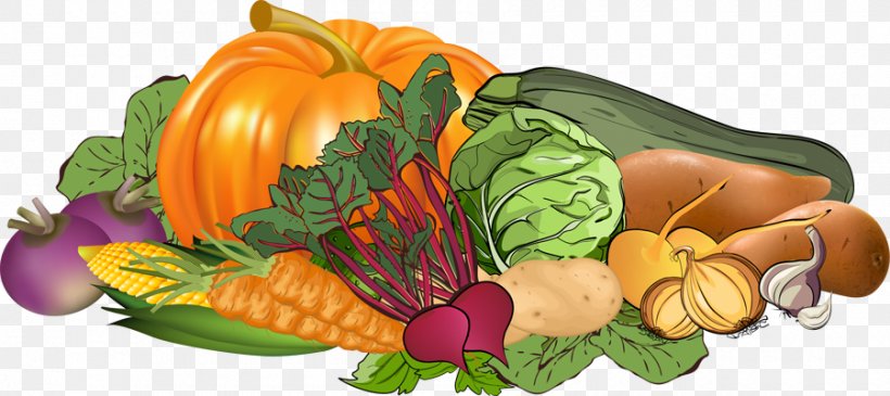 Vegetable Farming Fruit Strawberry Clip Art, PNG, 900x401px, Vegetable, Calabaza, Cucumber Gourd And Melon Family, Cucurbita, Diet Food Download Free