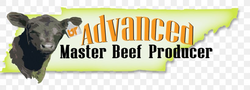 Dairy Cattle Angus Cattle Tennessee Beefmaster Calf, PNG, 1630x590px, Dairy Cattle, Advertising, Agriculture, Angus Cattle, Banner Download Free