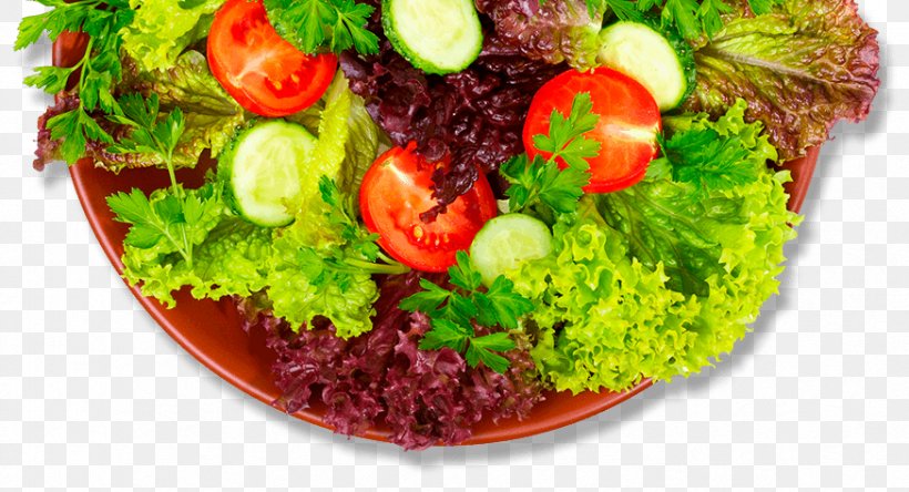 Hamburger Lettuce Recipe Salad Capitata Group, PNG, 874x474px, Hamburger, Capitata Group, Crab Stick, Cucumber, Diet Food Download Free