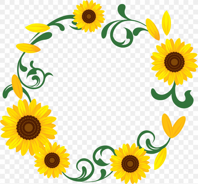 Sunflower Round Frame Sunflower Frame Floral Frame, PNG, 1463x1360px, Sunflower Round Frame, Daisy Family, Floral Frame, Flower, Mayweed Download Free
