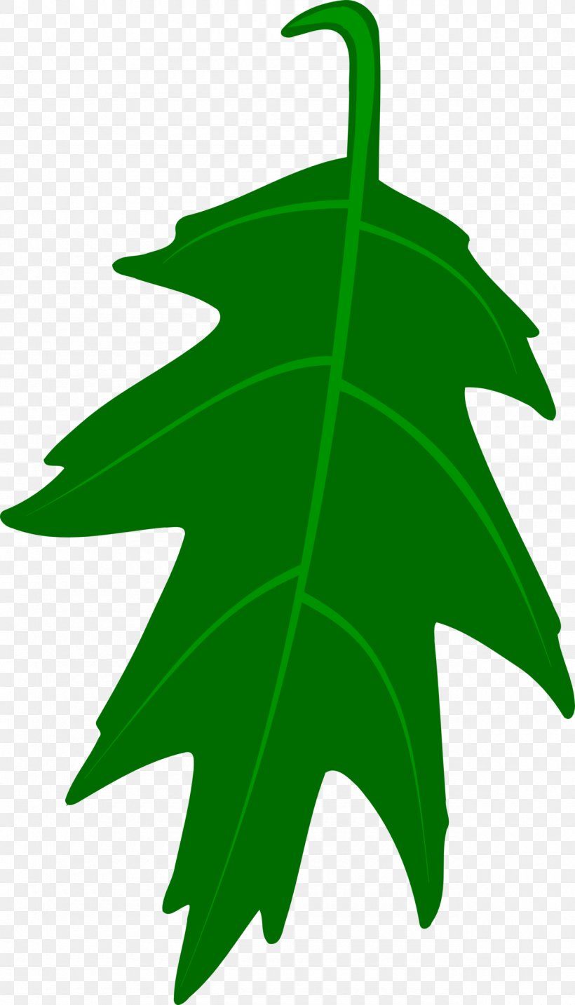 White Oak English Oak Leaf Clip Art, PNG, 1280x2239px, White Oak, Acorn, Drawing, English Oak, Flowering Plant Download Free
