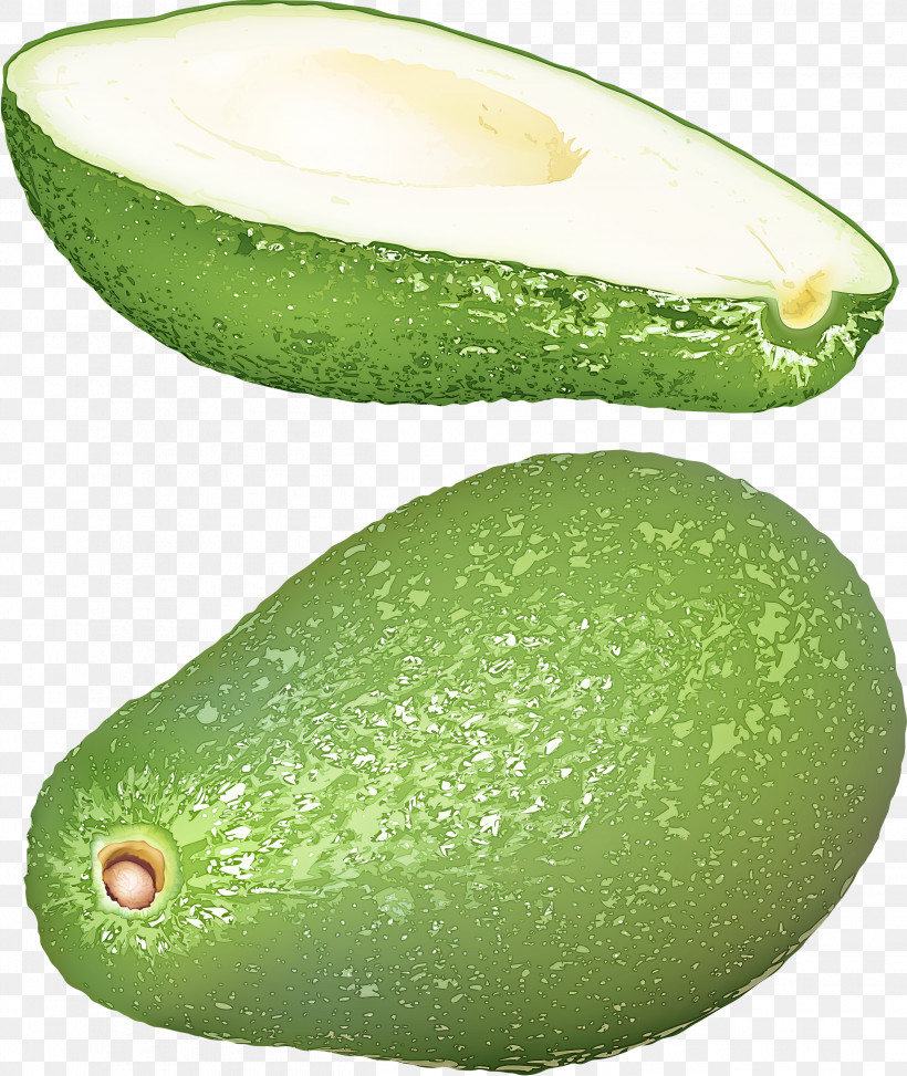 Avocado, PNG, 2526x3000px, Avocado, Cucumber, Food, Fruit, Plant Download Free