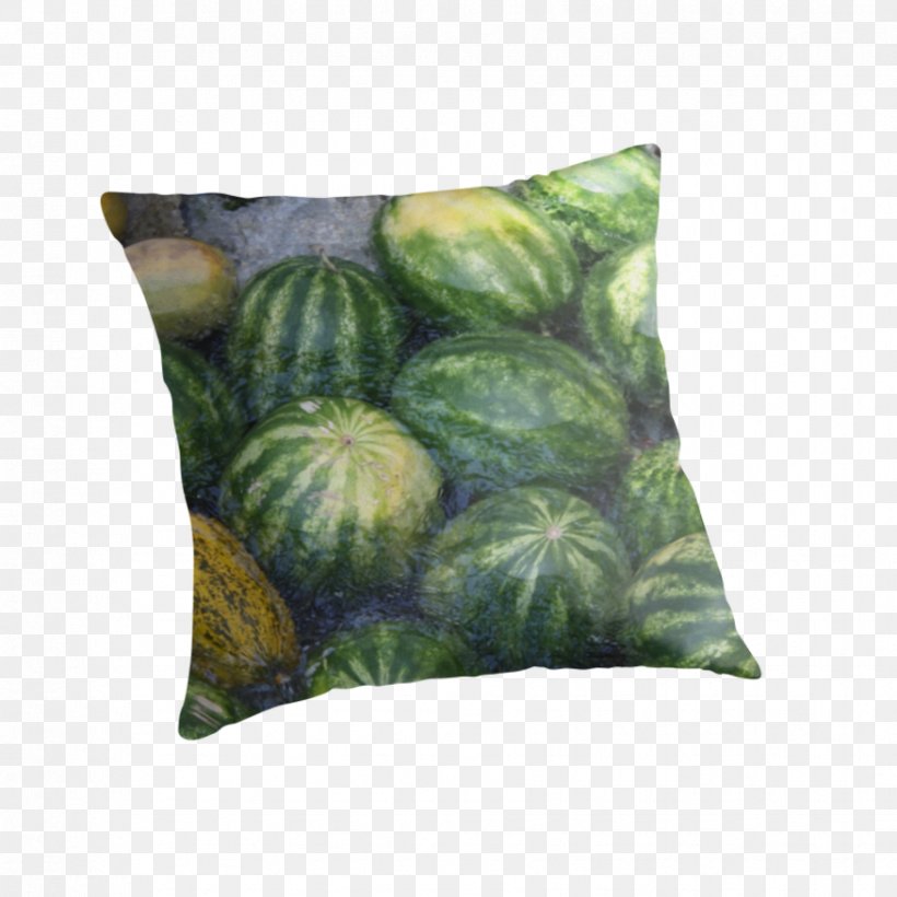 Cushion Throw Pillows Watermelon Green, PNG, 875x875px, Cushion, Coasters, Grass, Green, Greeting Note Cards Download Free