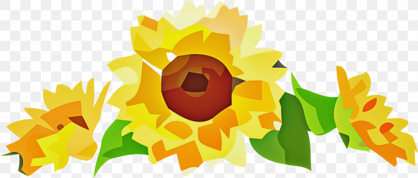 Floral Design, PNG, 3000x1277px, Common Sunflower, Border, Daisy Family, Floral Design, Flower Download Free
