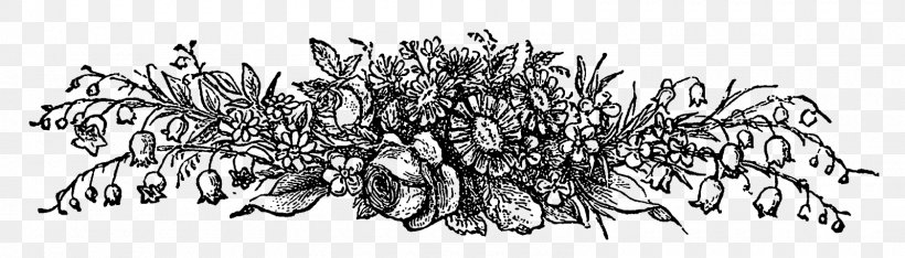 Line Art Floral Design Botany Clip Art, PNG, 1600x458px, Line Art, Art, Artwork, Black And White, Botanical Illustration Download Free