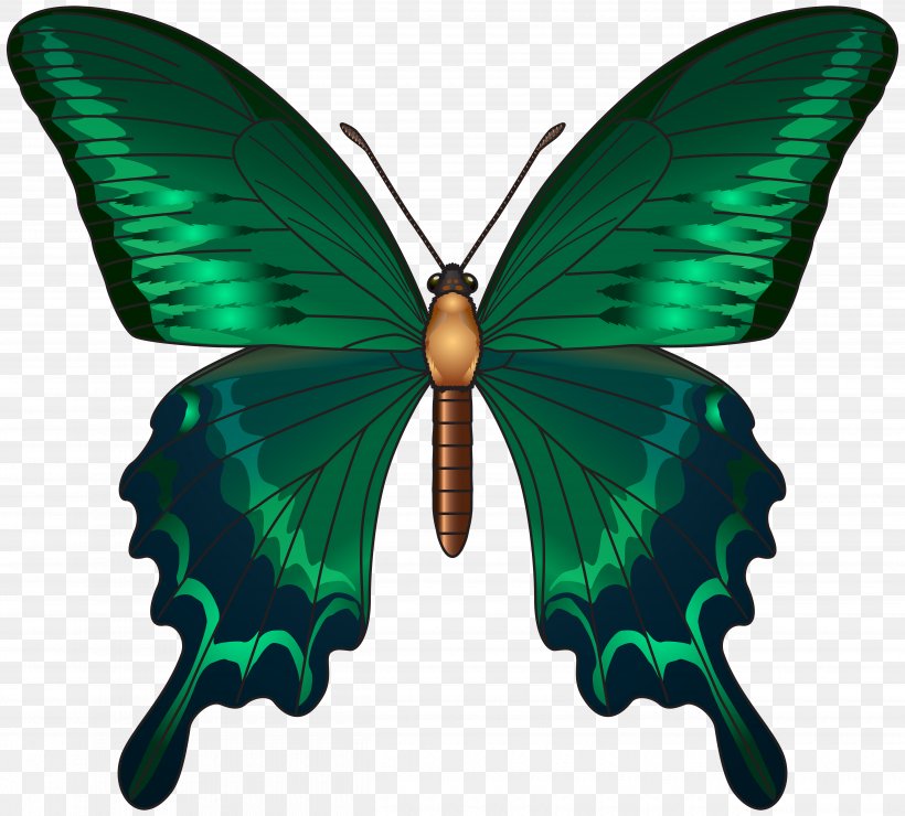 Butterfly Green Queen Alexandra's Birdwing Clip Art, PNG, 5000x4518px, Butterfly, Art, Arthropod, Brush Footed Butterfly, Color Download Free
