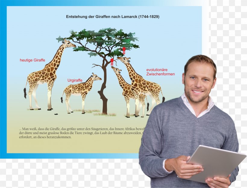 Giraffe Unterrichtssoftware Biology Text Fauna, PNG, 2945x2243px, Giraffe, Biology, Charles Darwin, Cloze Test, Fauna Download Free
