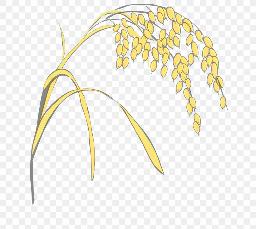 Grasses Rice, PNG, 1432x1283px, Grasses, Artworks, Branch, Cereal, Commodity Download Free