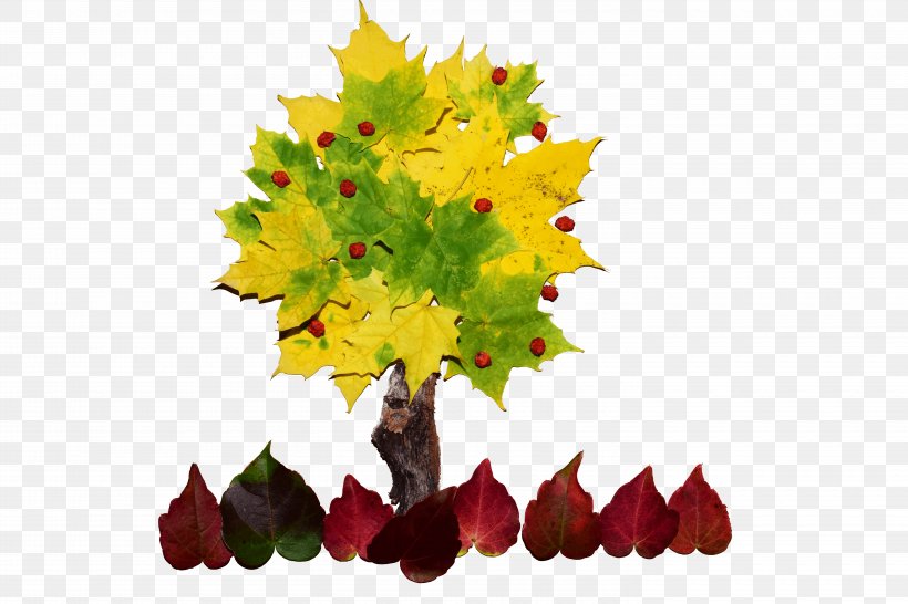 Leaf Tree Drawing Photomontage Photography, PNG, 5820x3880px, Leaf, Art, Autumn, Branch, Digital Art Download Free