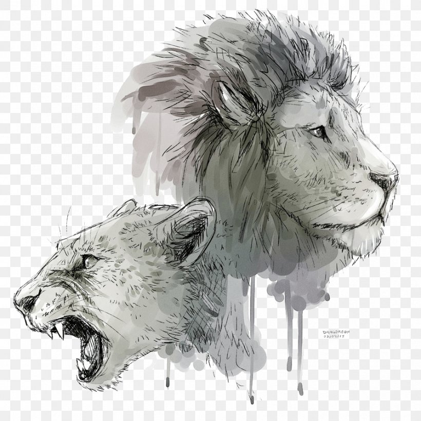 Lion's Roar Cat Drawing Lion's Roar, PNG, 894x894px, Lion, Bear, Big Cats, Black And White, Carnivoran Download Free