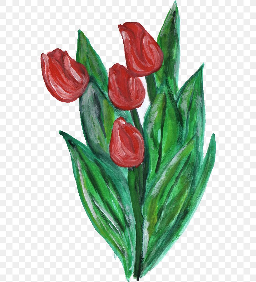 Flowering Plant Cut Flowers Tulip Liliaceae, PNG, 565x904px, Flowering Plant, Cut Flowers, Flower, Liliaceae, Lilium Download Free