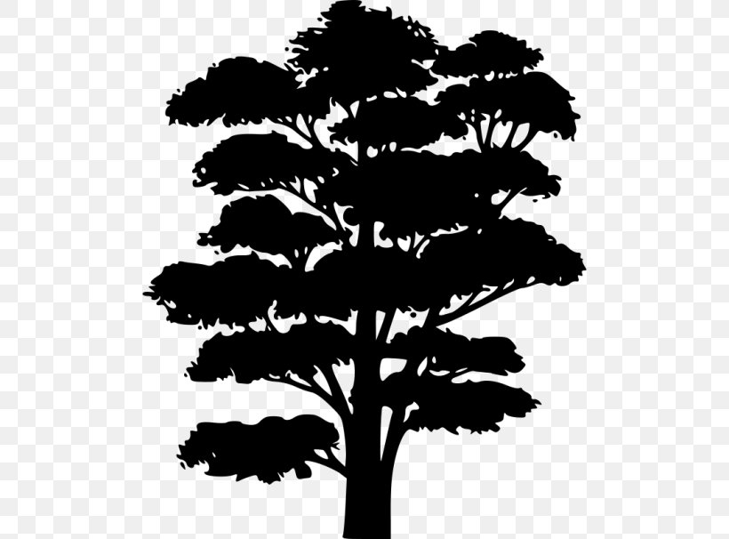 Tree Silhouette Clip Art, PNG, 500x606px, Tree, Arecaceae, Black And White, Branch, Color Download Free