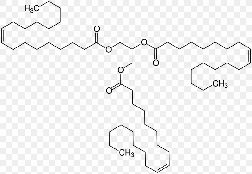 Triolein Oleic Acid Triglyceride Fatty Acid Lorenzo's Oil, PNG, 1280x882px, Triolein, Acid, Area, Augusto Michaela And Lorenzo Odone, Auto Part Download Free