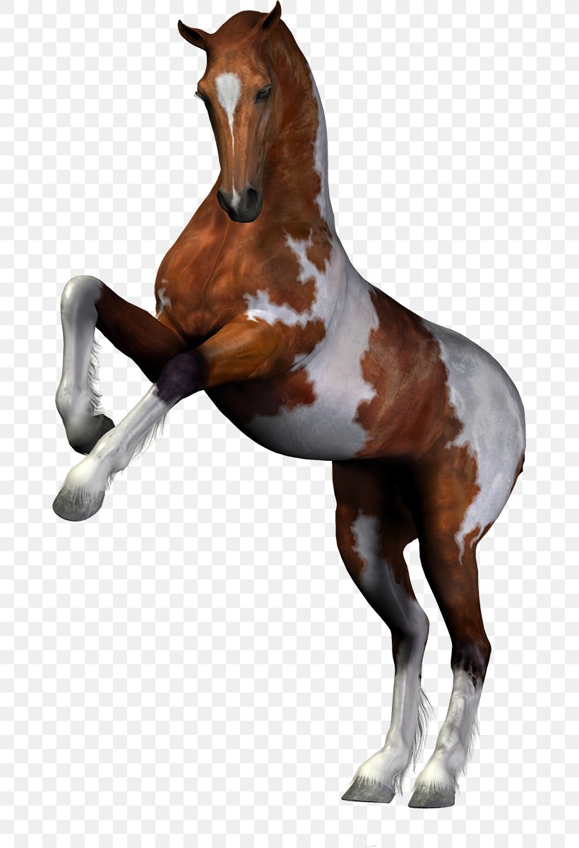 Horse Mare Image, PNG, 671x1200px, Horse, Animal Figure, Centerblog, Colt, Digital Art Download Free