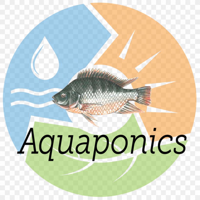 Logo Fauna Brand Scrum Font, PNG, 900x900px, Logo, Brand, Fauna, Fish, Organism Download Free