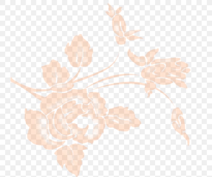 Petal Rose Family Floral Design Pattern, PNG, 743x685px, Petal, Branch, Branching, Family, Floral Design Download Free