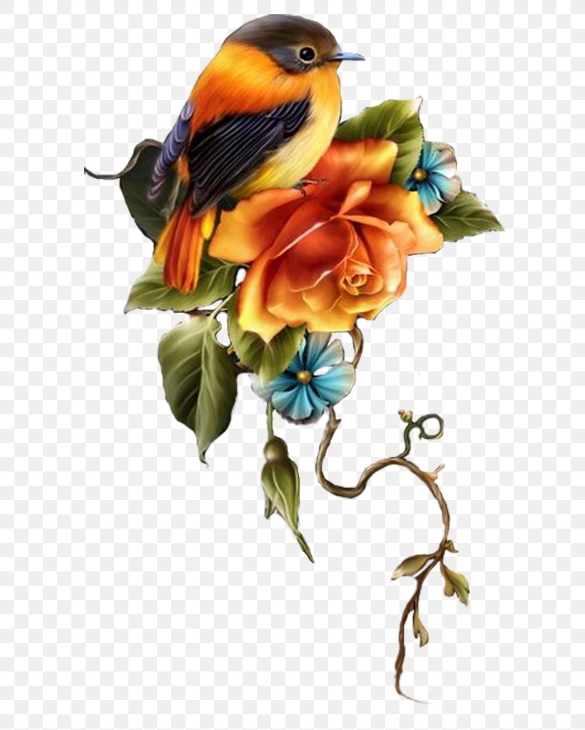 Flower Blog Avatar Clip Art, PNG, 650x1022px, Flower, Animation, Avatar, Beak, Bird Download Free