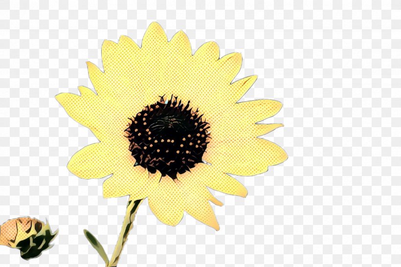 Sunflower, PNG, 2448x1632px, Pop Art, Flower, Flowering Plant, Petal, Plant Download Free
