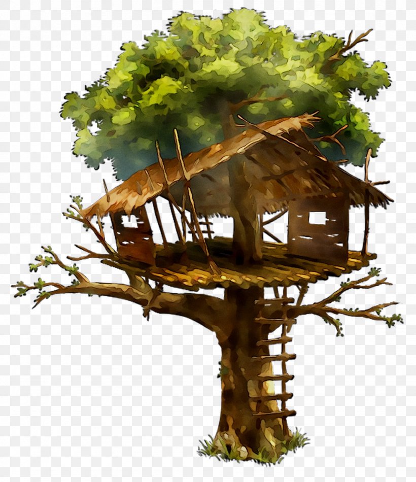 Tree House /m/083vt STX US50 RC.15P.RV NR EO Wood, PNG, 1026x1189px, Tree House, Branch, Branching, House, Houseplant Download Free