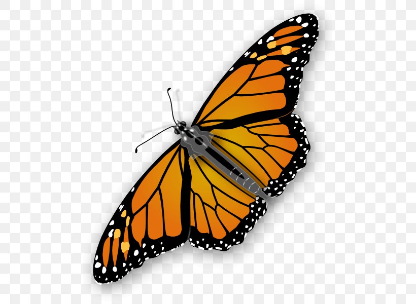 Butterfly Clip Art, PNG, 512x600px, Butterfly, Arthropod, Blog, Brush Footed Butterfly, Copyright Download Free