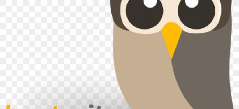 Owl @hootsuite Social Networking Service Facebook, PNG, 1200x550px, Owl, Beak, Bird, Bird Of Prey, Cartoon Download Free