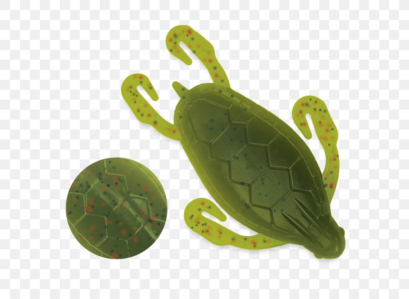 Sea Turtle Fishing Baits & Lures Soft Plastic Bait, PNG, 600x600px, Sea Turtle, Angling, Bait, Color, Common Snapping Turtle Download Free
