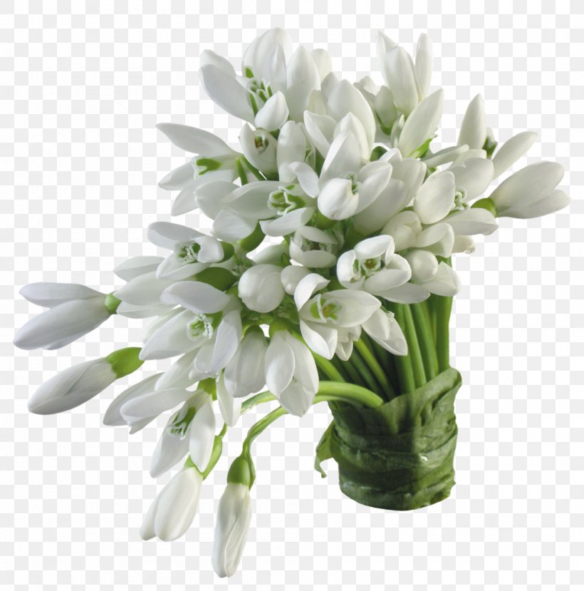 Snowdrop Flower Color Blossom White, PNG, 1000x1011px, Snowdrop, Blossom, Color, Cut Flowers, Floral Design Download Free