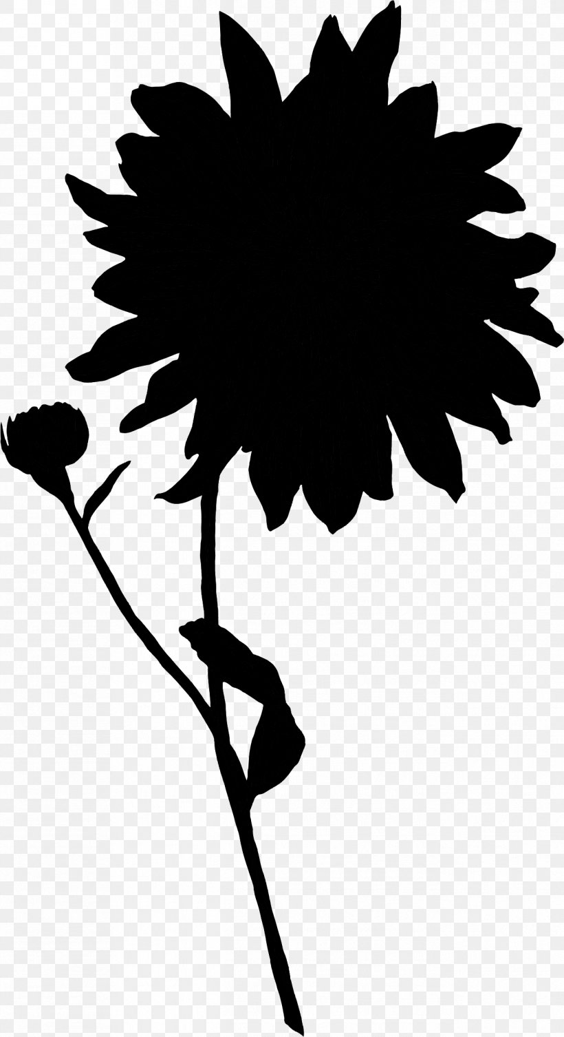 Twig Plant Stem Flower Leaf Clip Art, PNG, 1294x2377px, Twig, Blackandwhite, Dandelion, Flower, Flowering Plant Download Free