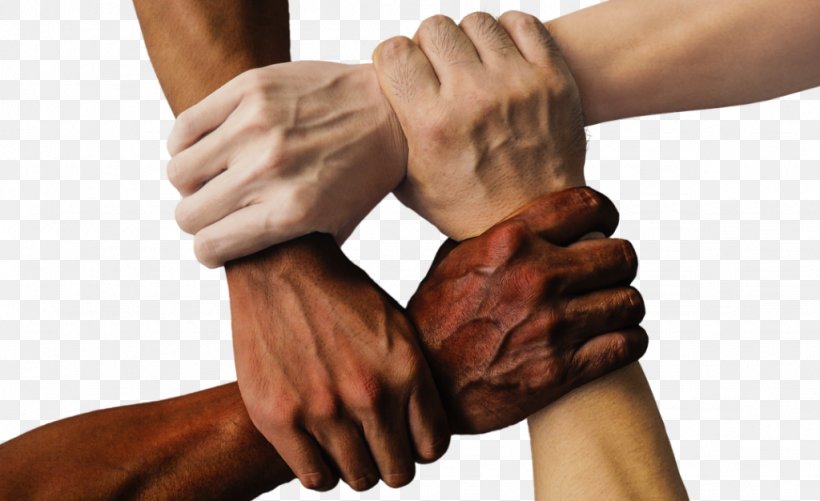 United States United We Stand Racism Society Business, PNG, 1024x626px, United States, Arm, Belief, Business, Chiropractor Download Free