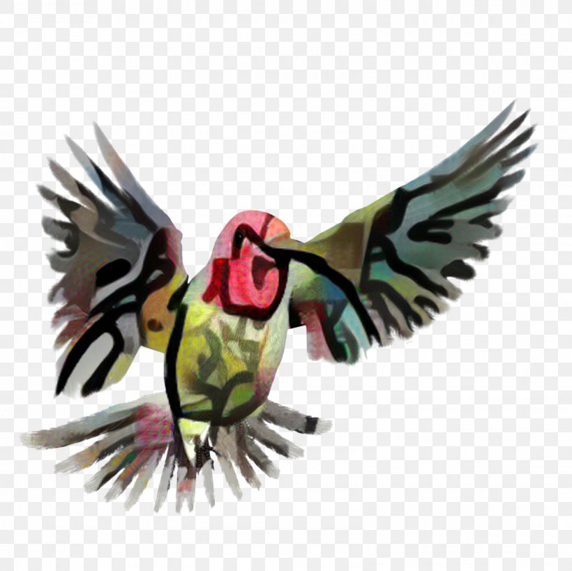 Bird Wing, PNG, 1600x1600px, Beak, Bird, Feather, Hummingbird, Perching Bird Download Free