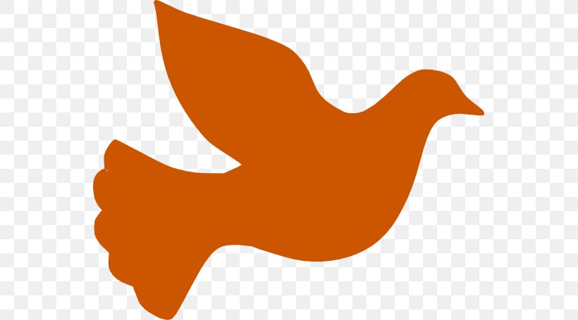 Columbidae Peace Symbols Clip Art, PNG, 555x455px, Columbidae, Beak, Bird, Dove, Duck Download Free