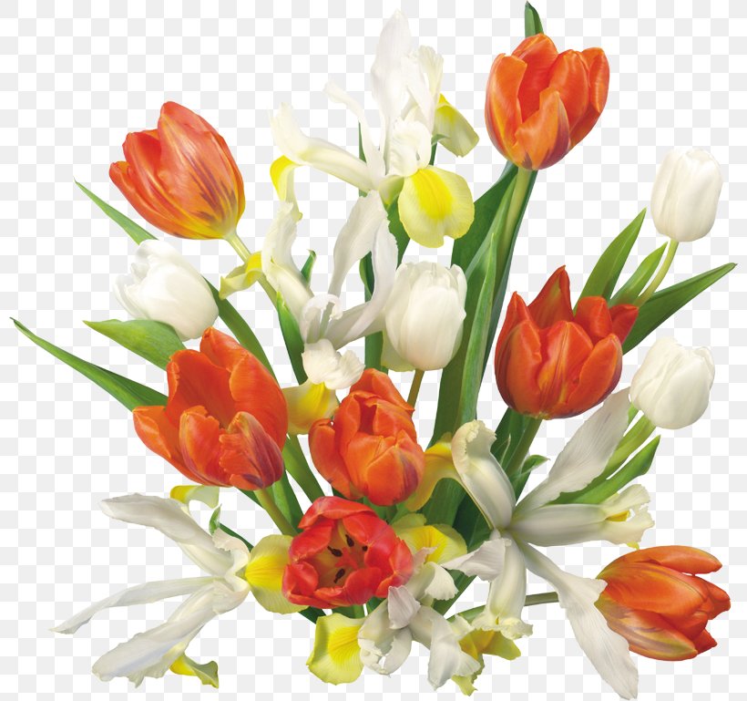 International Women's Day 8 March Ansichtkaart Holiday Photography, PNG, 800x769px, 8 March, Ansichtkaart, Artificial Flower, Cut Flowers, Floral Design Download Free