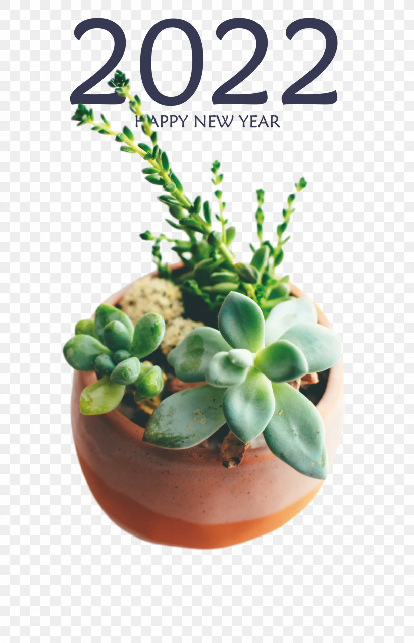 2022 Happy New Year 2022 New Year 2022, PNG, 1930x3000px, Plant, Biology, Cactus, Flowerpot, Science Download Free