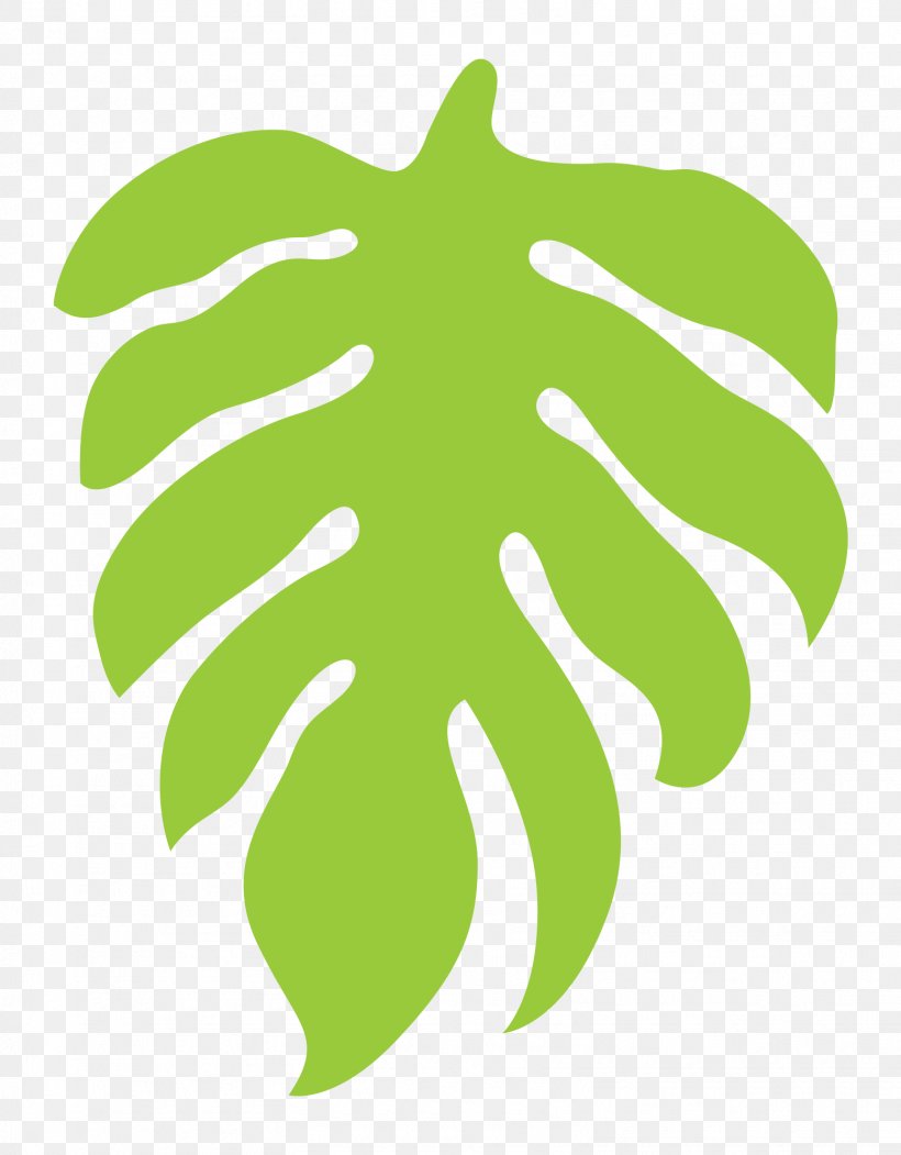 Clip Art Bold Color Vector Graphics Image, PNG, 1559x2000px, Fern, Color, Fruit, Grass, Green Download Free