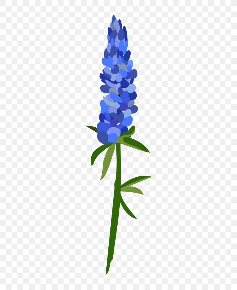 Cut Flowers Plant Stem Leaf Petal Hyacinth, PNG, 436x1000px, Cut Flowers, Bluebonnet, Cobalt Blue, Conifer, Flora Download Free