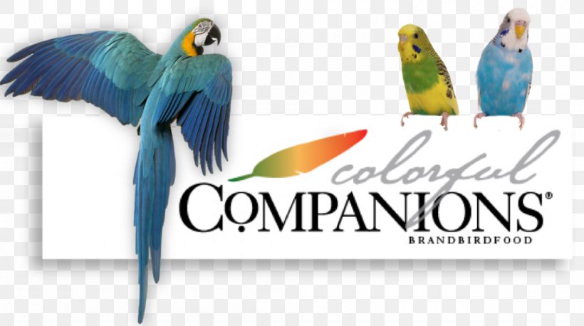 Lovebird Millet Parakeet Macaw, PNG, 1000x559px, Lovebird, Advertising, Beak, Bird, Bird Supply Download Free