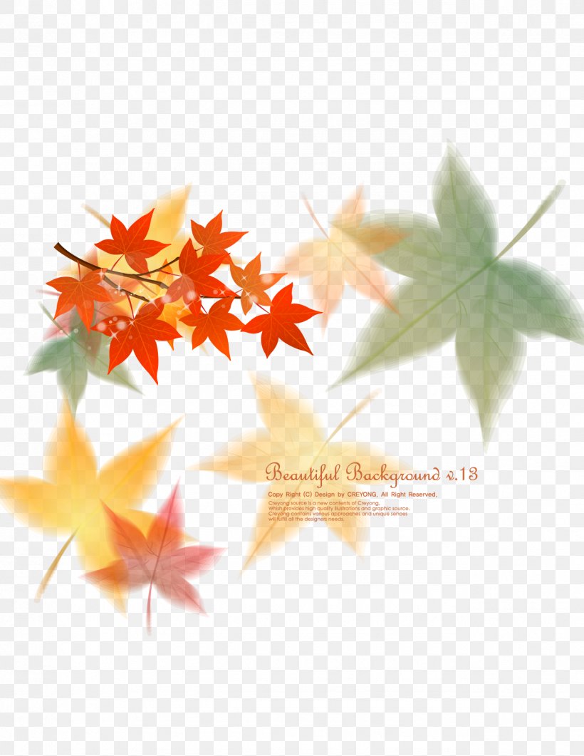 Maple Leaf Euclidean Vector, PNG, 1275x1650px, Red Maple, Autumn Leaf Color, Flowering Plant, Leaf, Maple Download Free