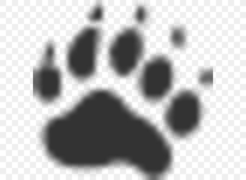 All Things Wild Wildlife Removal Dog Saint-Basile, Quebec Snout DoubleClick For Publishers, PNG, 600x600px, Dog, Animal, Black, Black And White, Carnivoran Download Free