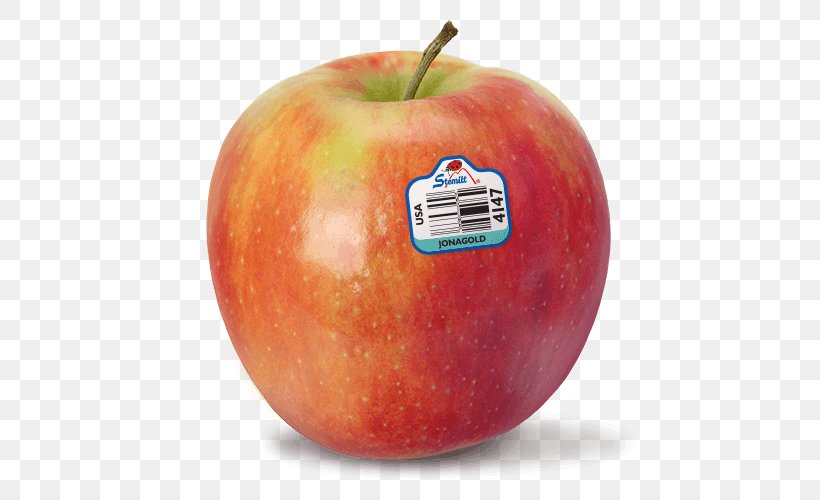Apple McIntosh Jonagold Food Red Delicious, PNG, 500x500px, Apple, Cortland, Cripps Pink, Diet Food, Empire Apples Download Free