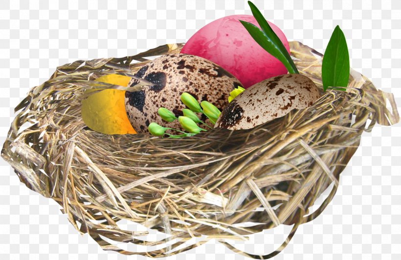 Bird Easter Egg Clip Art, PNG, 1200x781px, Bird, Bird Nest, Blog, Clutch, Easter Download Free