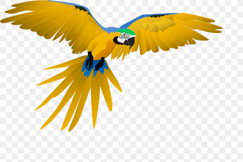 Macaw Parrot Beak Feather Wing, PNG, 1431x959px, Macaw, Beak, Bird, Bird Of Prey, Closeup Download Free