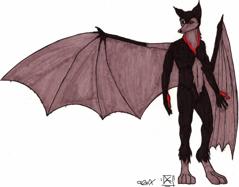 Megabat Vampire Bat Fruit Drawing, PNG, 1619x1267px, Bat, Animal, Cartoon, Costume Design, Demon Download Free