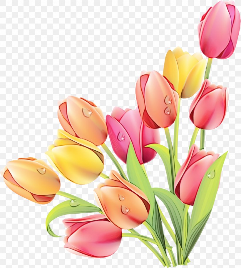 Tulip Clip Art Image Graphics Flower Bouquet, PNG, 1151x1280px, Tulip, Art, Artificial Flower, Botany, Bouquet Download Free