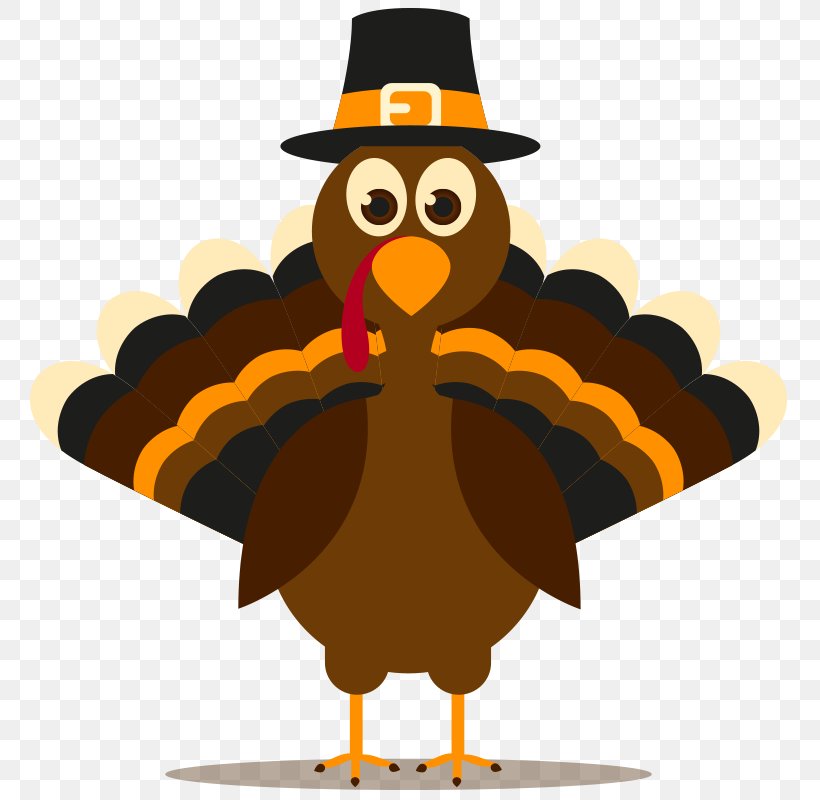 Vector Graphics Thanksgiving Royalty-free Turkey Meat Stock Photography, PNG, 800x800px, Thanksgiving, Beak, Bird, Cartoon, Chicken Download Free