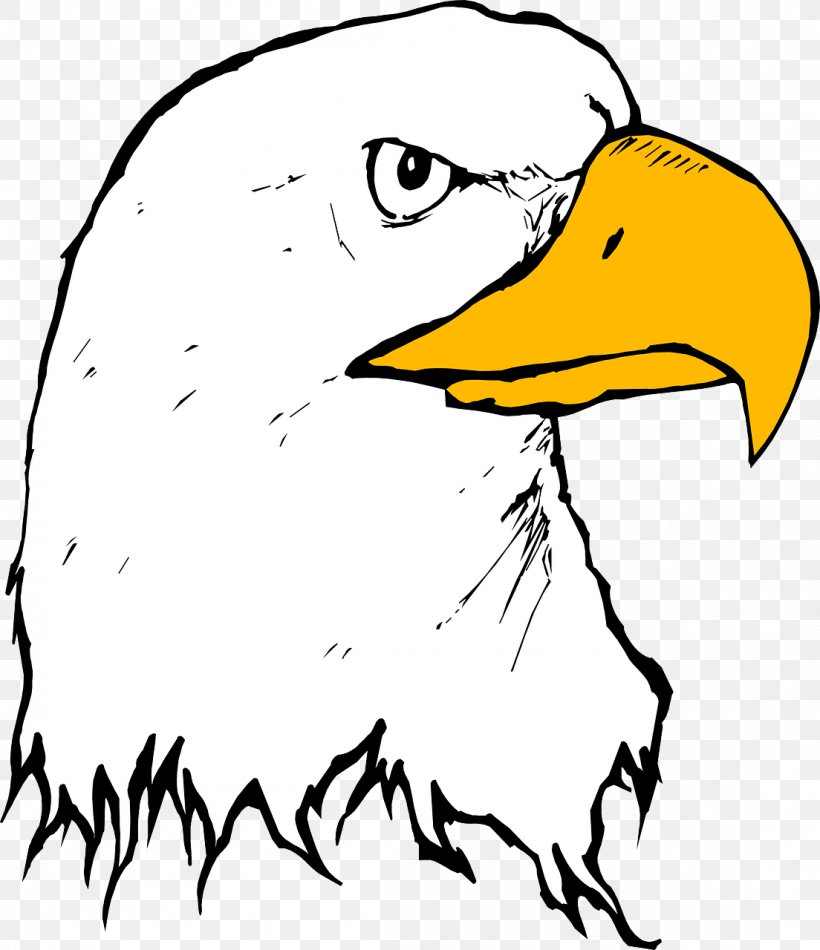 Bald Eagle Clip Art, PNG, 1104x1280px, Bald Eagle, Area, Art, Artwork, Beak Download Free